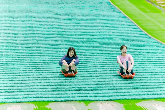 六甲山アスレチックパーク GREENIAで使えるクーポン一覧｜レジャーの割引クーポン ダレモ【おでかけ】