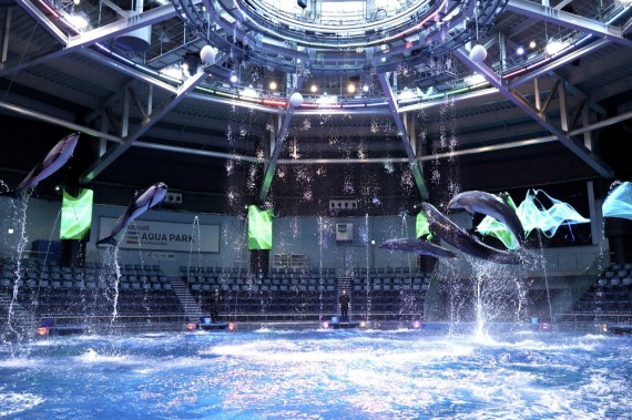 マクセル アクアパーク品川で使えるクーポン一覧｜レジャーの割引クーポン ダレモ【おでかけ】