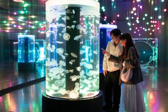 マクセル アクアパーク品川で使えるクーポン一覧｜レジャーの割引クーポン ダレモ【おでかけ】