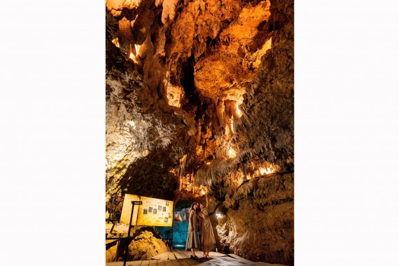 CAVE OKINAWA(ケイブ  オキナワ鍾乳洞)で使えるクーポン一覧｜レジャーの割引クーポン ダレモ【おでかけ】