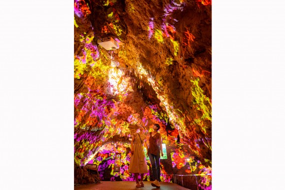 CAVE OKINAWA(ケイブ  オキナワ鍾乳洞)で使えるクーポン一覧｜レジャーの割引クーポン ダレモ【おでかけ】