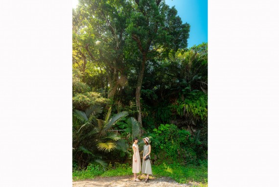 CAVE OKINAWA(ケイブ  オキナワ鍾乳洞)で使えるクーポン一覧｜レジャーの割引クーポン ダレモ【おでかけ】