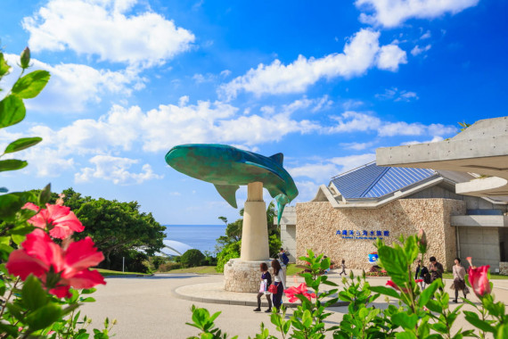 沖縄美ら海水族館で使えるクーポン一覧｜レジャーの割引クーポン ダレモ【おでかけ】