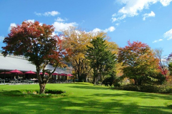 箱根ラリック美術館で使えるクーポン一覧｜レジャーの割引クーポン ダレモ【おでかけ】