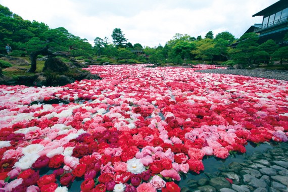 日本庭園 由志園で使えるクーポン一覧｜レジャーの割引クーポン ダレモ【おでかけ】