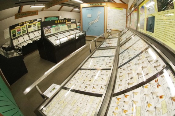 四万十川学遊館あきついおで使えるクーポン一覧｜レジャーの割引クーポン ダレモ【おでかけ】