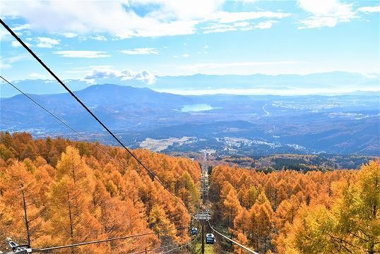 妙高杉ノ原スキー場で使えるクーポン一覧｜レジャーの割引クーポン ダレモ【おでかけ】