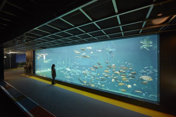 箱根園水族館で使えるクーポン一覧｜レジャーの割引クーポン ダレモ【おでかけ】