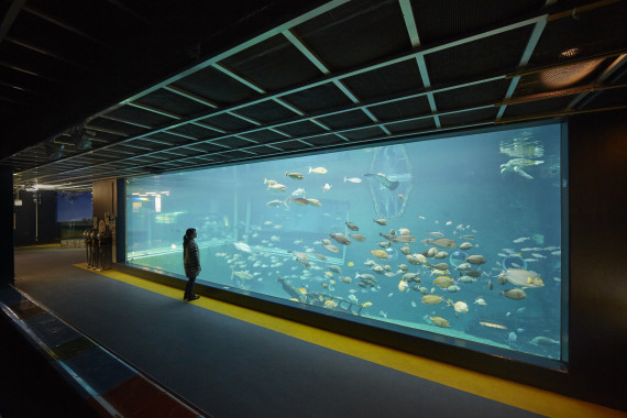 箱根園水族館で使えるクーポン一覧｜レジャーの割引クーポン ダレモ【おでかけ】