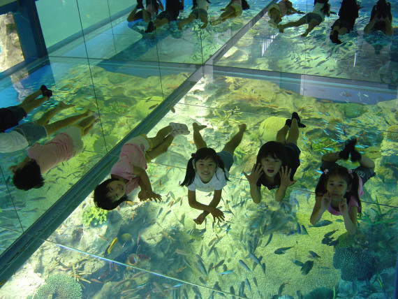 越前松島水族館で使えるクーポン一覧｜レジャーの割引クーポン ダレモ【おでかけ】