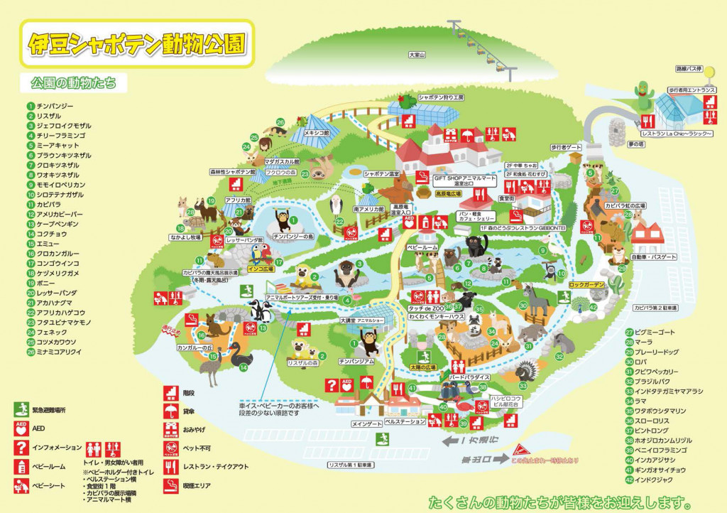 伊豆シャボテン動物公園で使えるクーポン一覧｜レジャーの割引クーポン ダレモ【おでかけ】 施設内マップ