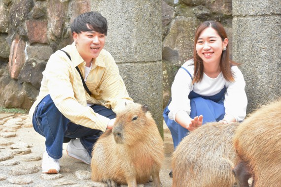 伊豆シャボテン動物公園で使えるクーポン一覧｜レジャーの割引クーポン ダレモ【おでかけ】