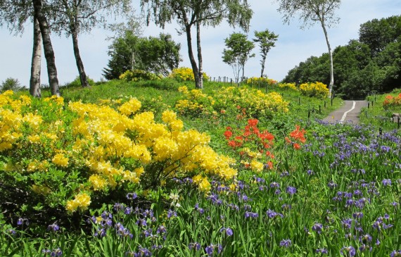 湯沢高原ロープウェイで使えるクーポン一覧｜レジャーの割引クーポン ダレモ【おでかけ】