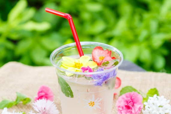 湯沢高原ロープウェイで使えるクーポン一覧｜レジャーの割引クーポン ダレモ【おでかけ】