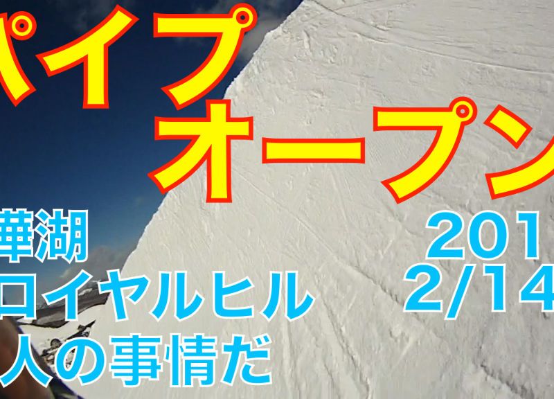 今年はどうなるのでしょうか？(動画あり)