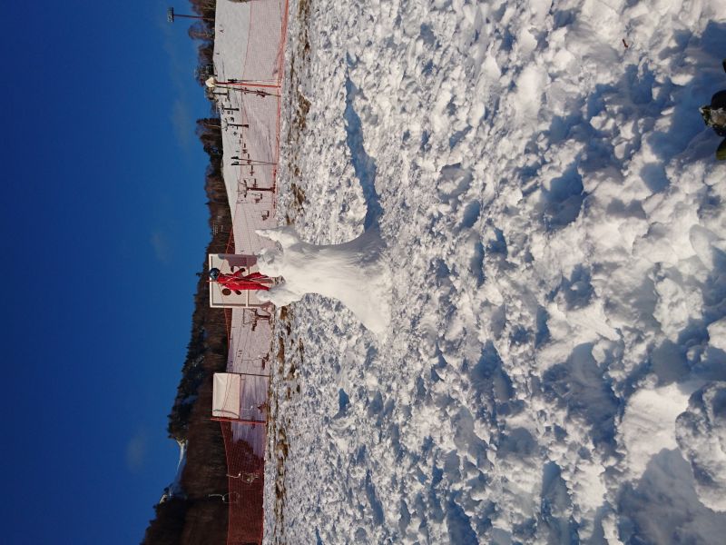 温泉&雪質グッド
