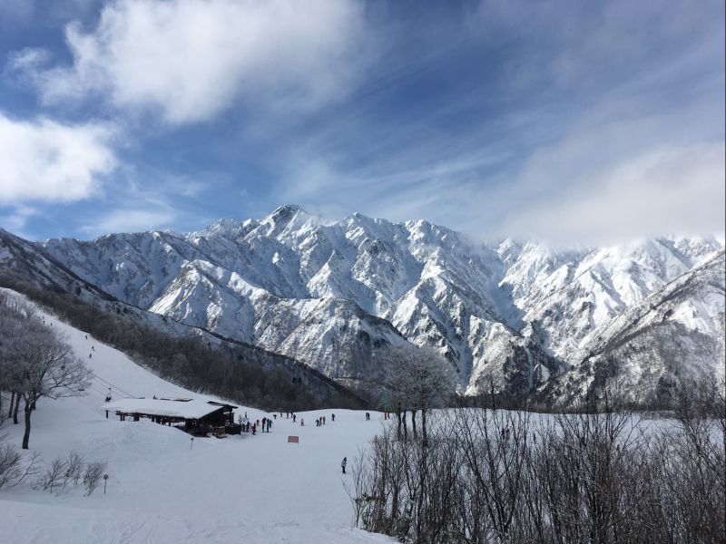 白馬八方尾根スキー場です！
