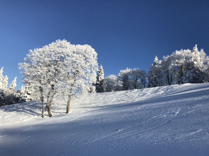 キンキンに冷えた朝