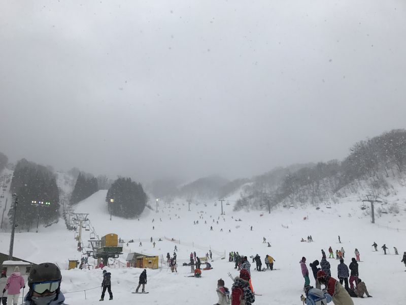 真冬並みの雪！
