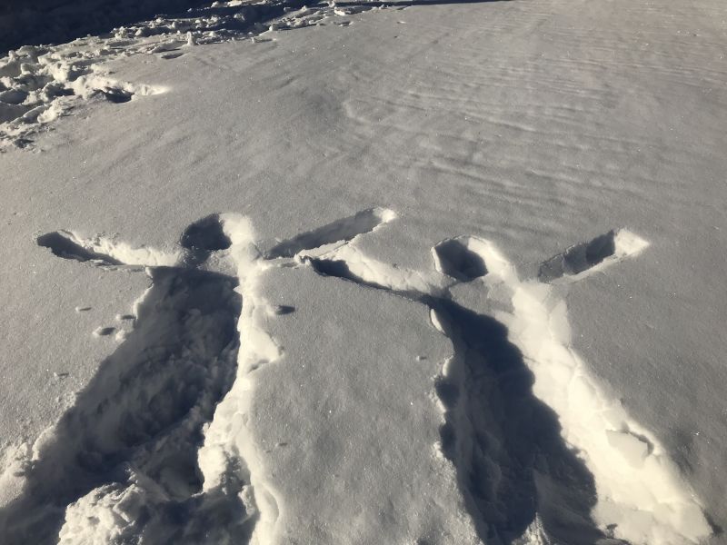 やっぱり雪はいいよね～