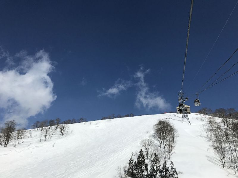 思わぬ新雪