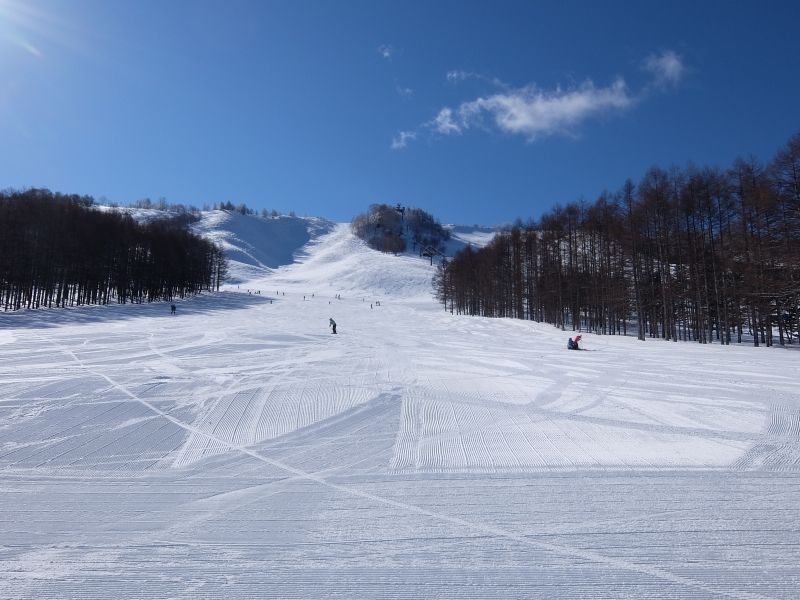 地形変化に富んだ面白いスキー場
