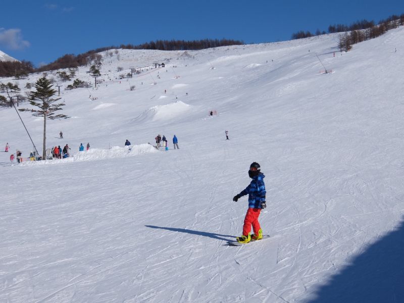 白樺湖にも雪は降るなり