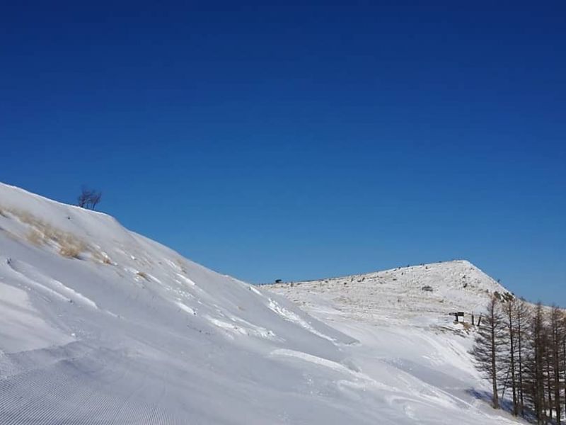雪質、青空、最高でした！