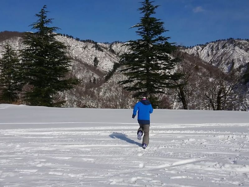 裏切らない