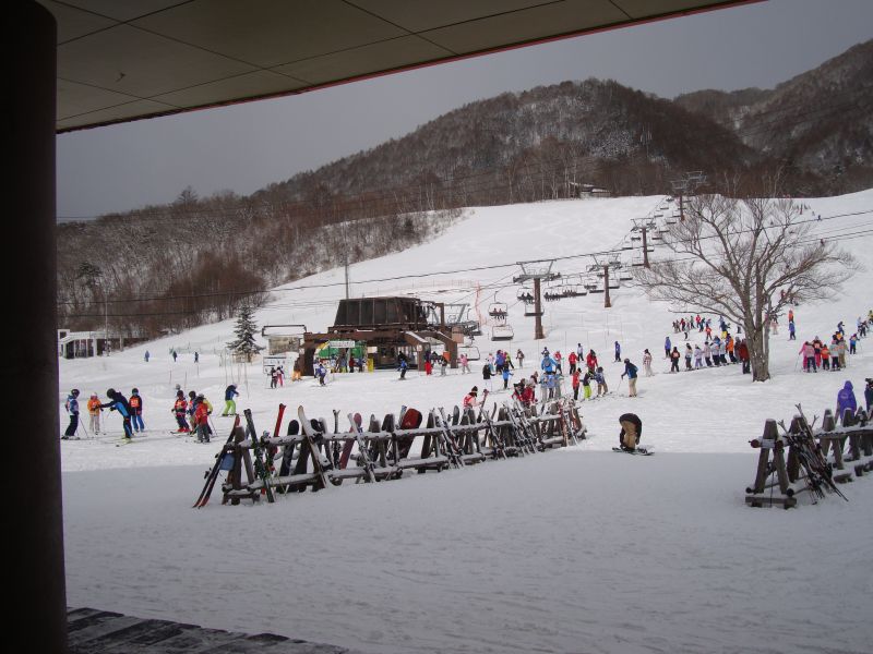 久しぶりの降雪