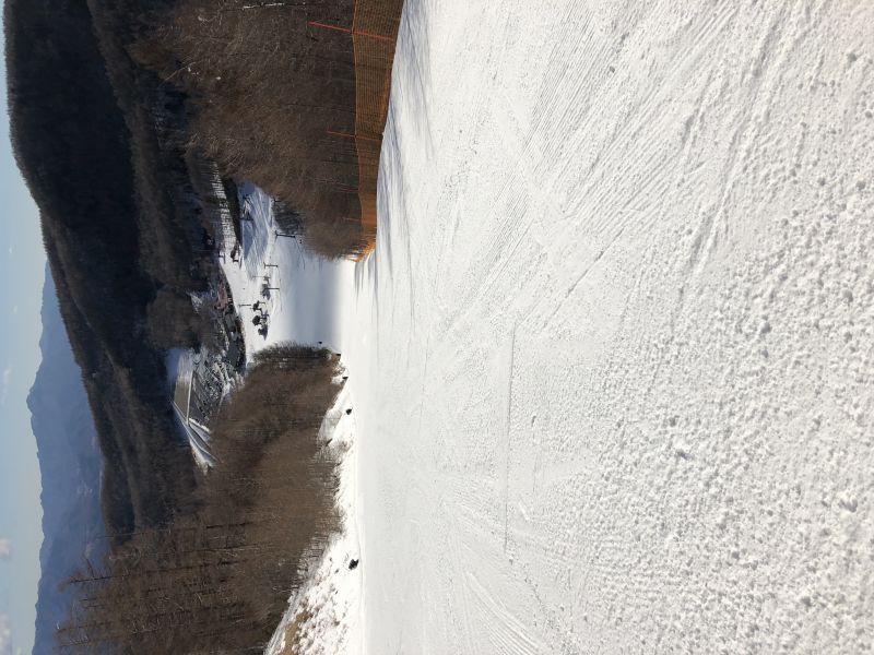 周辺エリア最高の雪質