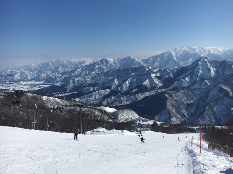 平日に限る