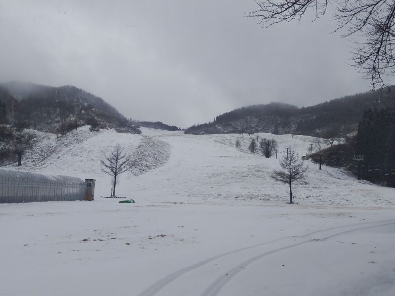 やっと雪