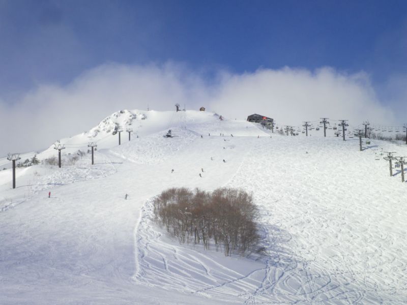 年末は雪に恵まれました