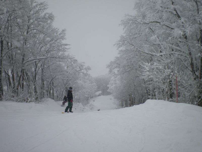 大雪でした