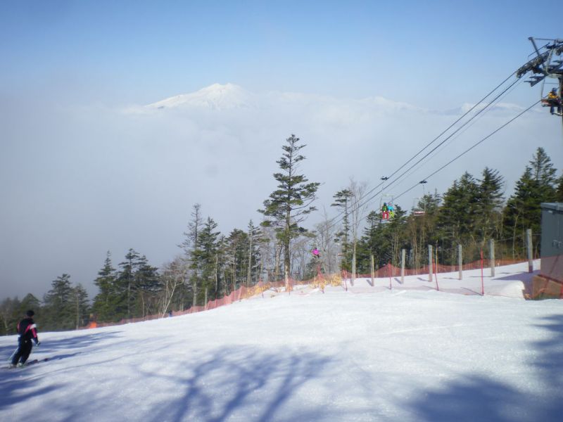 3/20まだまだ大丈夫でした