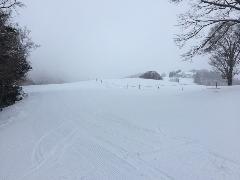 雪多いです。