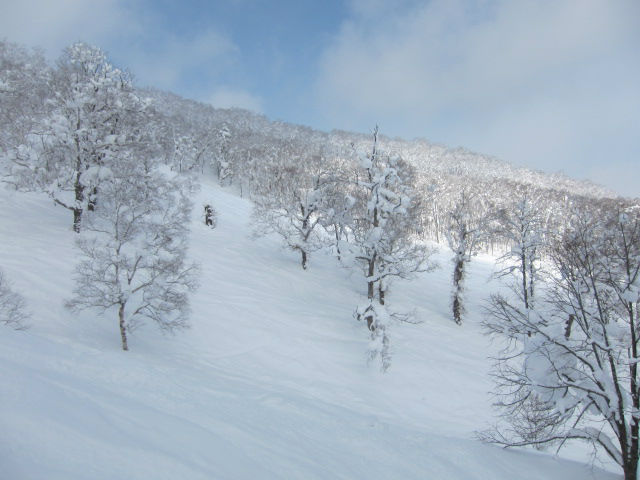 2012/02/20 （月）　ルスツリゾートスキー場の速報