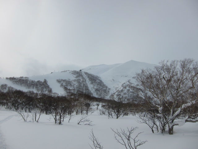 2012/02/06（水）　北海道ニセコヒラフ・ハナゾノの様子