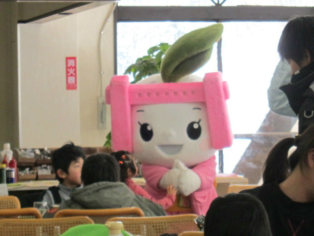2013/02/16（土）　長野県きそふくしまスキー場の速報