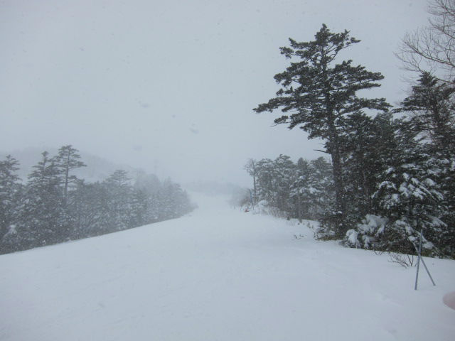 2013/12/14（土）　長野県 おんたけ2240の速報