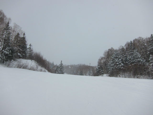 2014/01/26（日）長野県Mt.乗鞍の速報