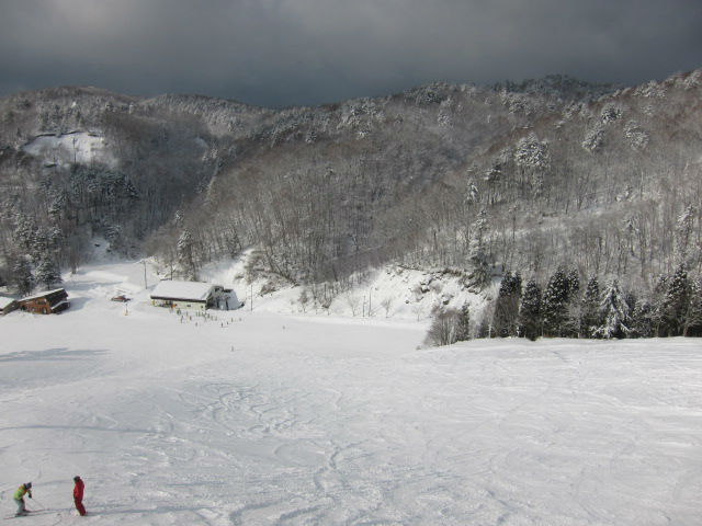 2014/01/26（日）　岐阜県飛騨高山の速報