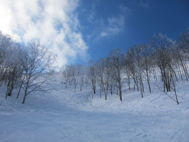 2014/02/23（日）　長野県斑尾の速報