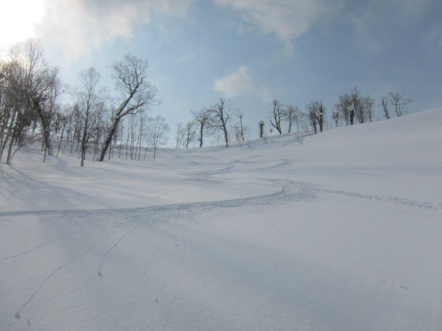 2014/03/04（火）　北海道　ルスツリゾートの速報