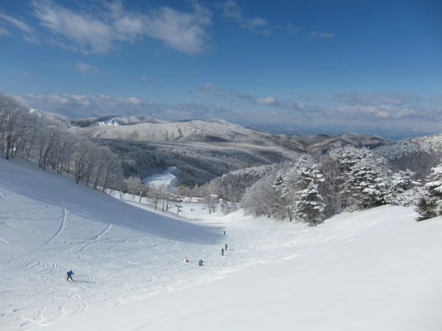 14/03/08（土）　長野県　峰の原高原の速報