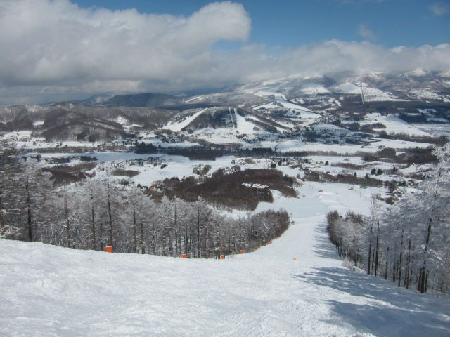 2014/03/08（土）　長野県　菅平パインビークの速報