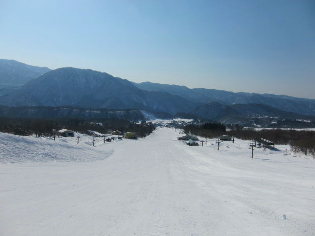 2014/03/23（日）　長野県　栂池の速報