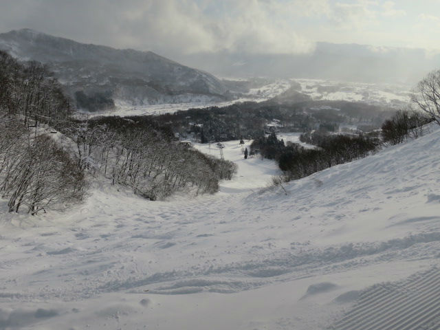 2015/02/01（日）　長野県　白馬八方尾根の速報