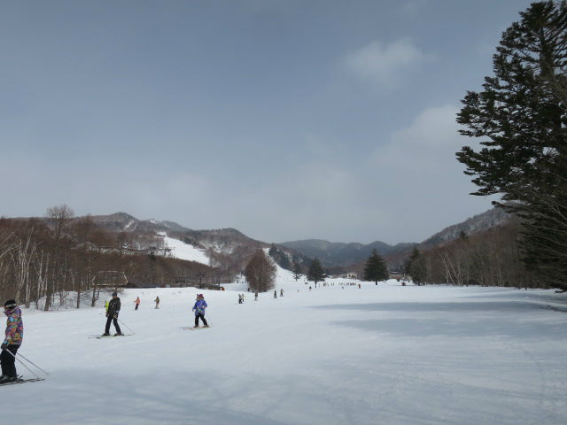 2015/03/07（土）　長野県　志賀高原一の瀬、東館山、高天原の速報